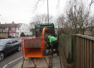 Tree Surgery