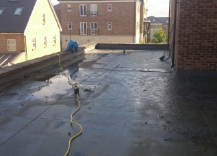 Roof Cleaning - Before