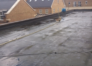 Roof Cleaning - Before